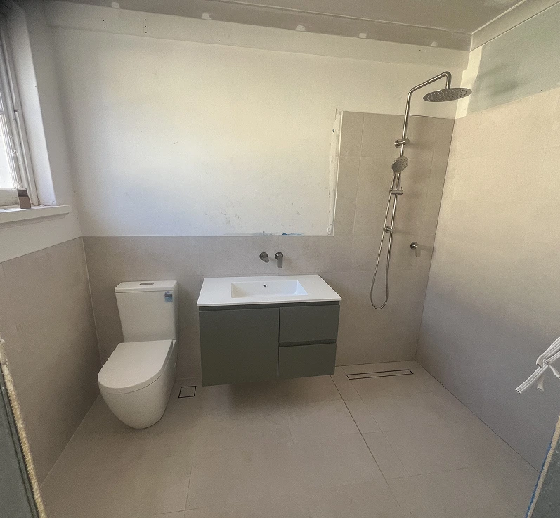 Professional toilet repair and maintenance services